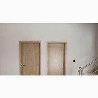 Flush Door