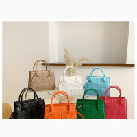 Affordable Classy Mini Bags