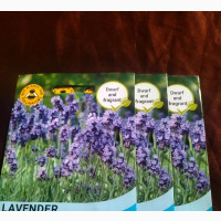 Lavender Seeds