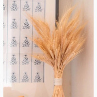 Brand New Decorative Pas Grass - Home Interiors