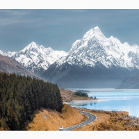 New Zealand Visa 100% Approval