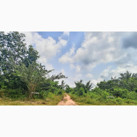 Land for Sale 100 by 100