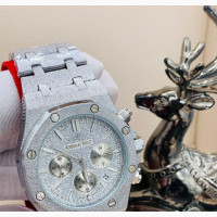 Sliver Ap Wrist Watch