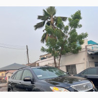 Lexus RX 330 2004 Black