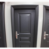 3ft X 6inches Frame Noble Steel Door