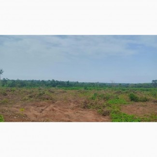 Affordable Land With C OF O For Sale