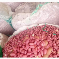 Ogoja Groundnut
