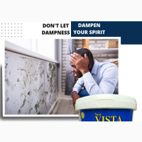 DAMP FIX: The Solution to Your Wall Dness Problems