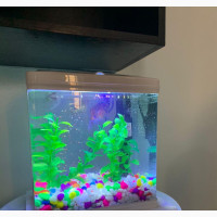 Aquarium Desktop - Complete Set
