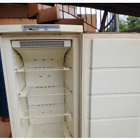 Standing Freezer for Sale for Block and Fish