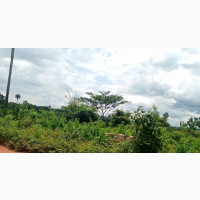 Estate Land in Ogwashi-Ukwu, U Can Buy 5 and Get 1 Free