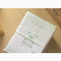 Cartons of A4 Paper