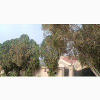 5bdrm Duplex in Jericho Gra Ibadan for sale