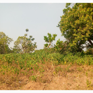 400 Acres of Farmland Land at Aagberi