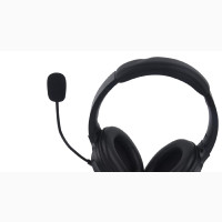 Baofeng Walkie-Talkie Headset