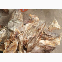 Varieties of Stockfish