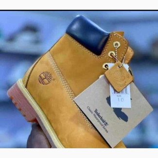 Timberland Boot for Sale