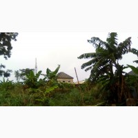 100x100 at Sapele Road(Mfm Prayer City) for Sale