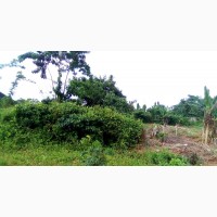 100x100 at Sapele Road(Mfm Prayer City) for Sale
