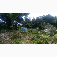 Good Dry Land For Sale