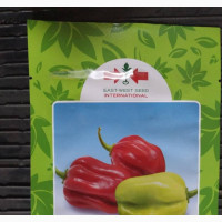 Hot Pepper/ Ata Rodo / Habanero Seeds