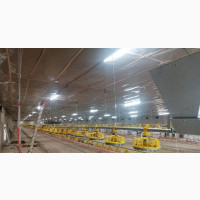 Pen House/ H Beam / Fabrication/ Steel Construction