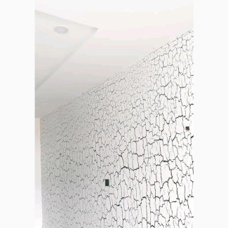 Professional Painter and Decorator Services