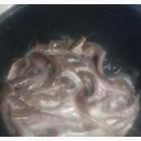 Catfish for Sale