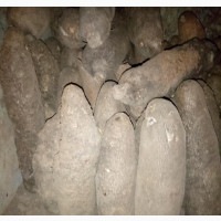 Benue Sweet Yam - 100 Pieces Available