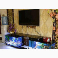 TV Console With Aquarium