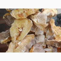 Fresh Seafoods Delivered to Your Doorstep