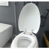 Wallhung Wc