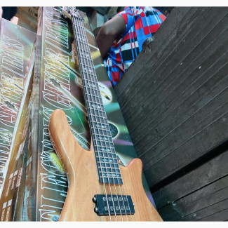 5string Bass Guitar