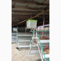 Battery Cages for Layers With Full Accessories