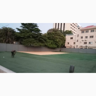 Artificial Grass Rental for Parties Event Floor