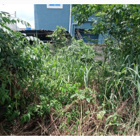 9089 Square Metres Residential Land with Fence and Gate