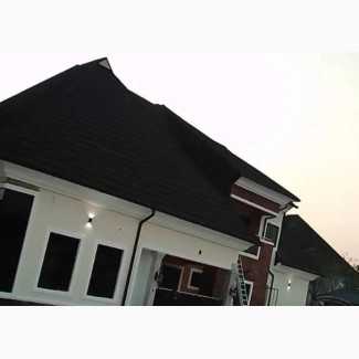 Transom Widows