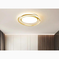 Modern LED Ceiling L Remote Control Chandelier