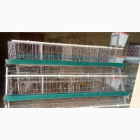 Cold Galvanized Bettry Cage
