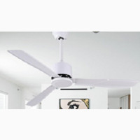 Ceiling Fans