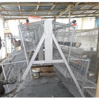 Poultry Home
