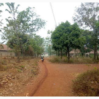Affordable 8 Plots of Land for Sale in Mgbo Agbaja