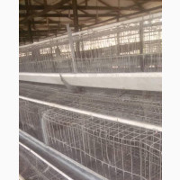 Used Hot Deep Galvanised Battery Cages