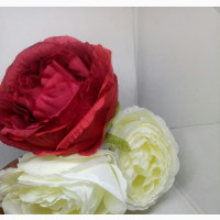 Exquisite Rose Flowers - Perfect Gift for Loved Ones