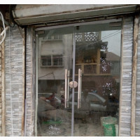 Frameless Double Leaves Swing Door Volume 10