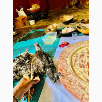The most powerful native doctor in Nigeria +2349151785058
