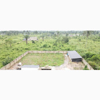 Poultry Farm for Sale in Omagwa - 1, 000 Birds Capacity