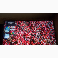 Samsung QLED 55 Inch 2020 Premium Q82T Ultra UHD HDR