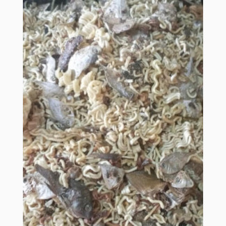 Mixed and Unmixed Indomie for Dogs