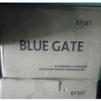 Bluegate UPS Battery - Reliable Power Solution